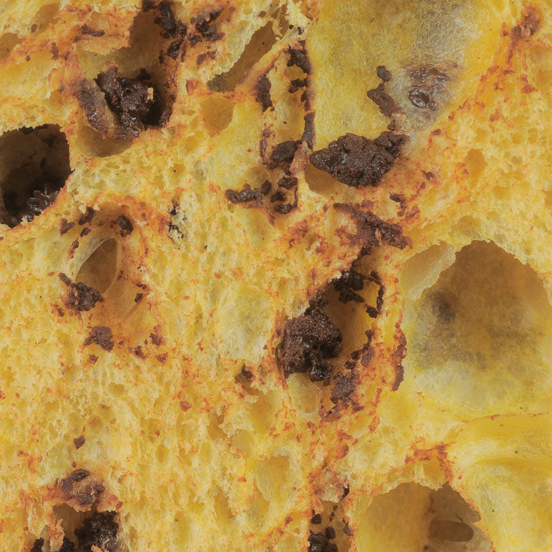 Colomba al cioccolato Dolcemascolo